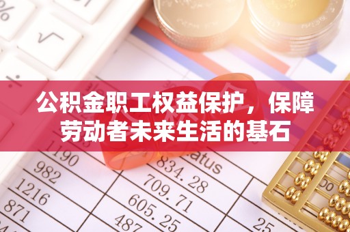 罗源公积金职工权益保护，保障劳动者未来生活的基石