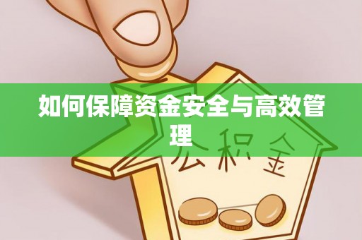 罗源如何保障资金安全与高效管理