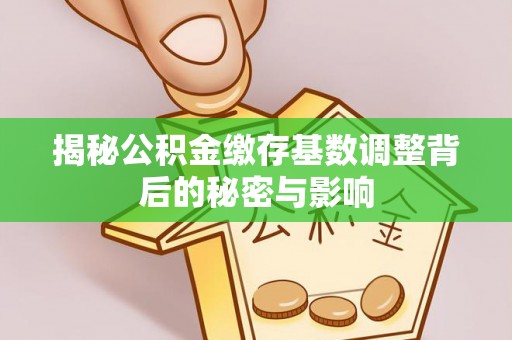 罗源揭秘公积金缴存基数调整背后的秘密与影响