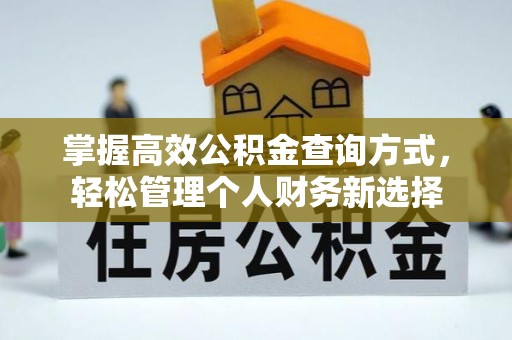 罗源掌握高效公积金查询方式，轻松管理个人财务新选择