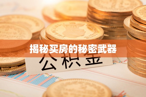 罗源揭秘买房的秘密武器