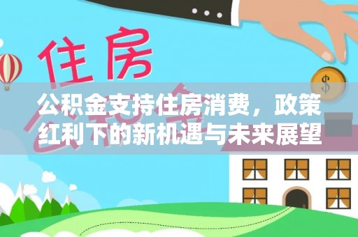 罗源公积金支持住房消费，政策红利下的新机遇与未来展望
