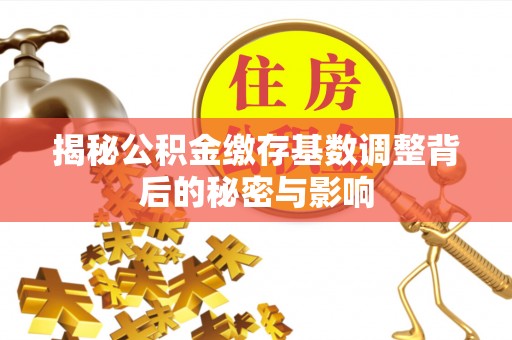 罗源揭秘公积金缴存基数调整背后的秘密与影响