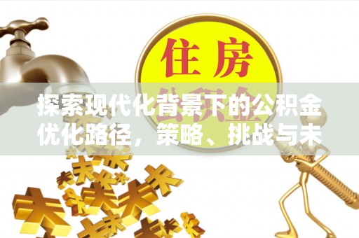罗源探索现代化背景下的公积金优化路径，策略、挑战与未来展望