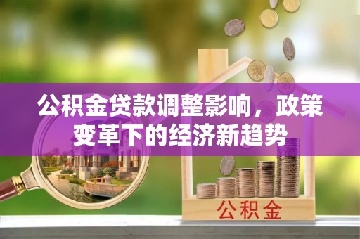 罗源公积金贷款调整影响，政策变革下的经济新趋势