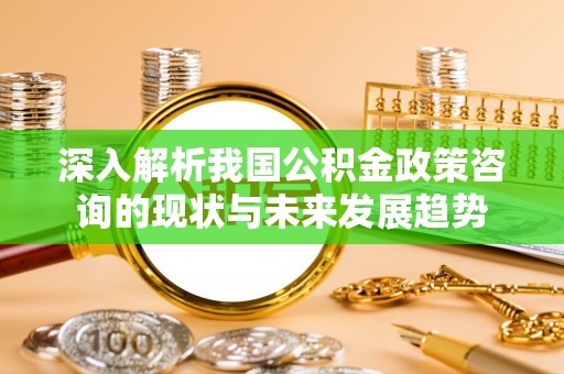 罗源深入解析我国公积金政策咨询的现状与未来发展趋势
