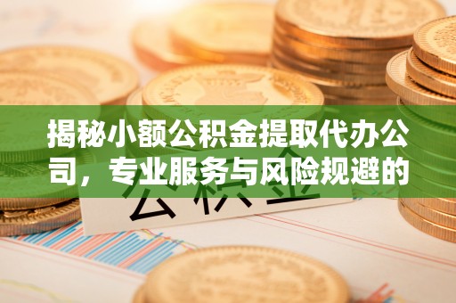 罗源揭秘小额公积金提取代办公司，专业服务与风险规避的平衡艺术