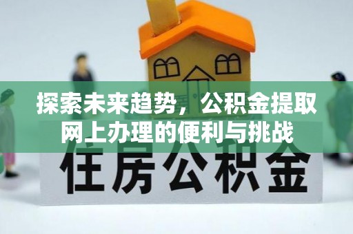 罗源探索未来趋势，公积金提取网上办理的便利与挑战