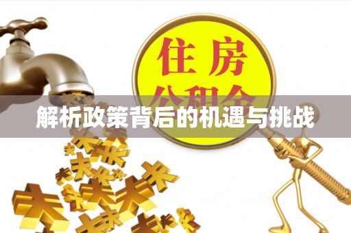 罗源解析政策背后的机遇与挑战