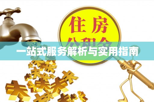 罗源一站式服务解析与实用指南