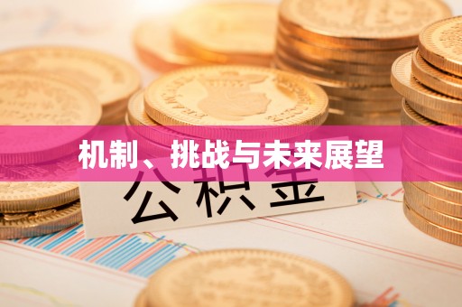 罗源机制、挑战与未来展望