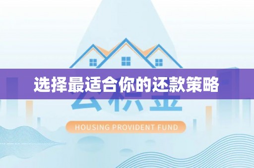 罗源选择最适合你的还款策略