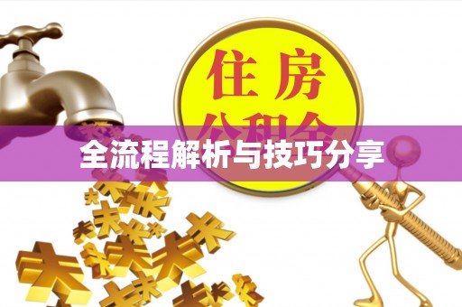 罗源全流程解析与技巧分享