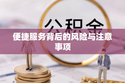 罗源便捷服务背后的风险与注意事项