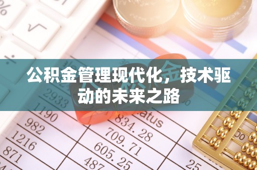 罗源公积金管理现代化，技术驱动的未来之路