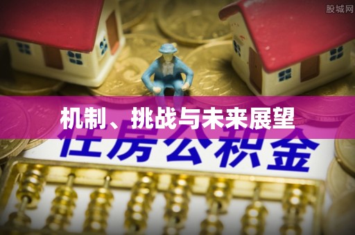 罗源机制、挑战与未来展望